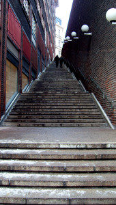 employee training tracking software - stair case