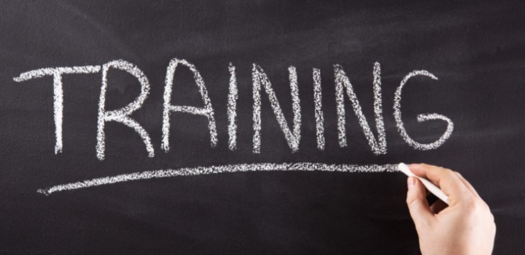 How to Develop an Organizational Training Strategy in 2 phases