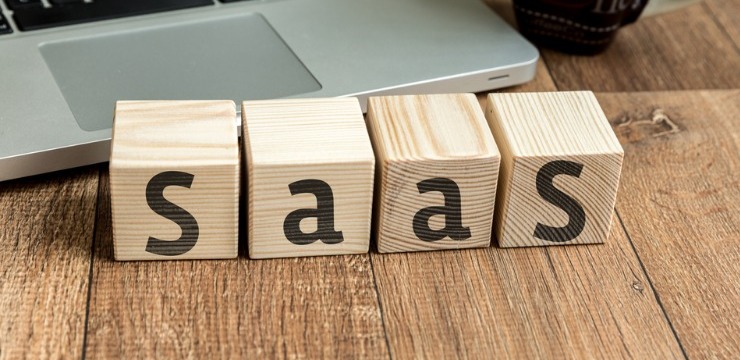 What to Look for in SaaS Training Programs