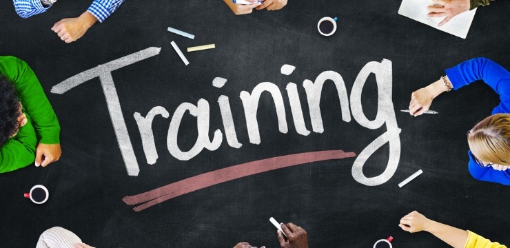 What Are Some Top Examples of Training Plans for Employees?